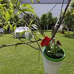 Jasmina 2 Apartman