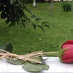 Apartamento Jasmina 2