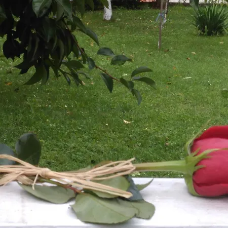 Apartament Jasmina 2